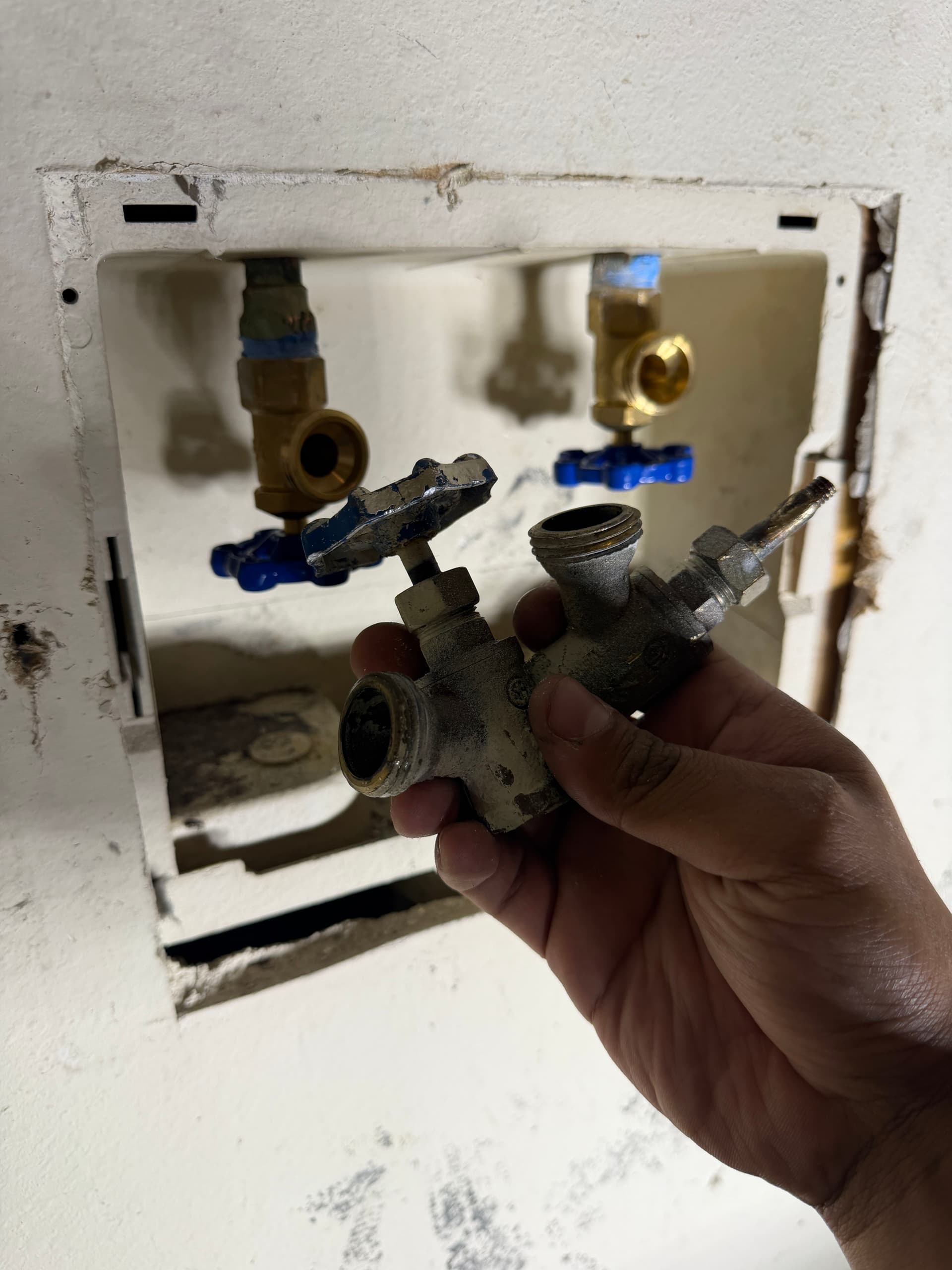 Gallery photos for Same-Day Washer Shut-Off Valve Replacement for a Homeowner Mid-Move: Image #1