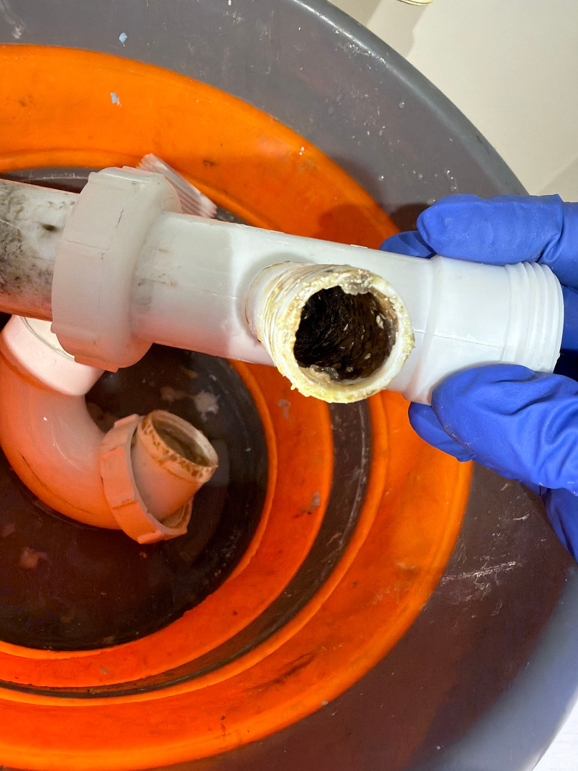 AC Drain Tie-In Biofilm Clog Cleared with Snake and Chain Descaling image